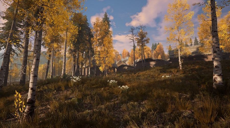 Medieval Dynasty - Советы и хитрости!