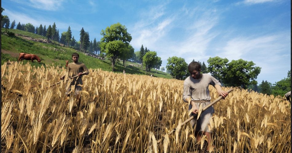 Medieval Dynasty инструменты и оружие