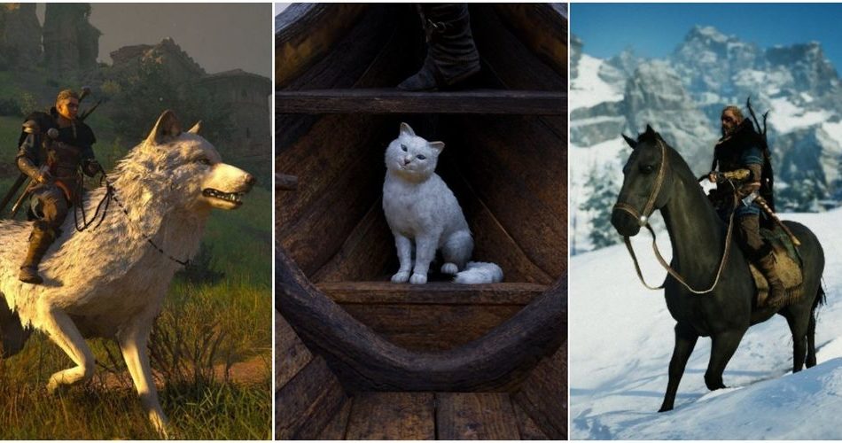 Assassin's Creed Valhalla: Все животные