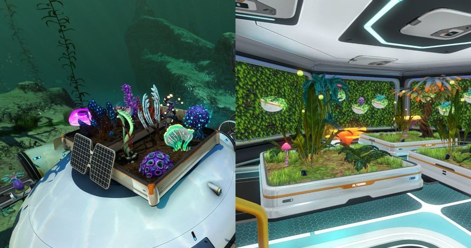 Subnautica: Все растения Subnautica: Все растения