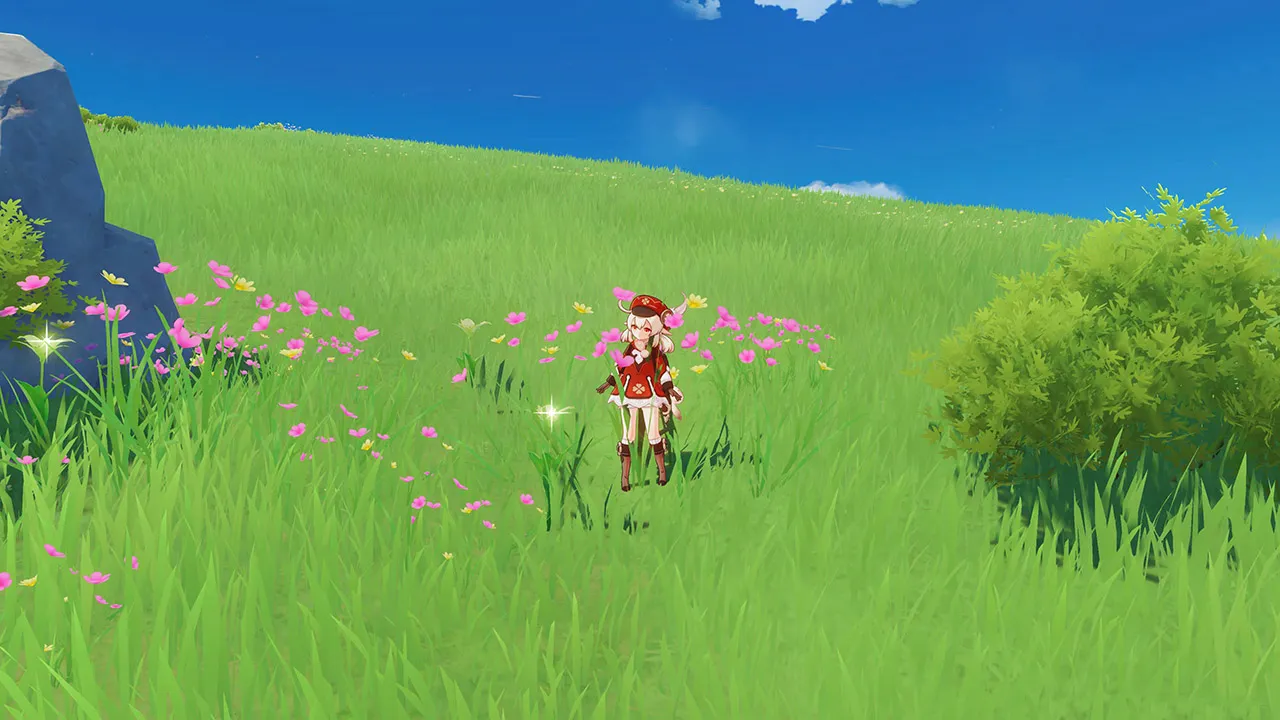 Геншин Импакт Сесилия: локации и фермерский маршрут Геншин Импакт Сесилия: локации и фермерский маршрут