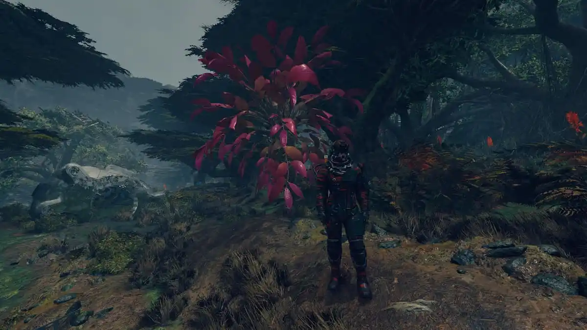 Руководство по прокачке ботаники Starfield |  Лучшие места для быстрого сбора органических ресурсов из растений Руководство по прокачке ботаники Starfield |  Лучшие места для быстрого сбора органических ресурсов из растений