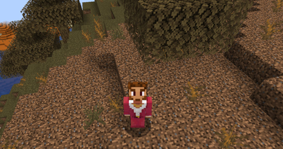 Лучший мод карты для Minecraft: JourneyMap против мини-карты Xaero Лучший мод карты для Minecraft: JourneyMap против мини-карты Xaero