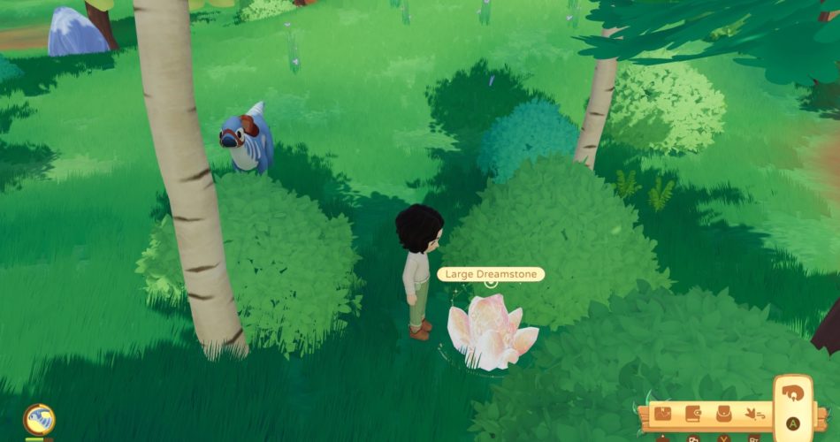 Все местоположения камня мечты Палео-Пайнс