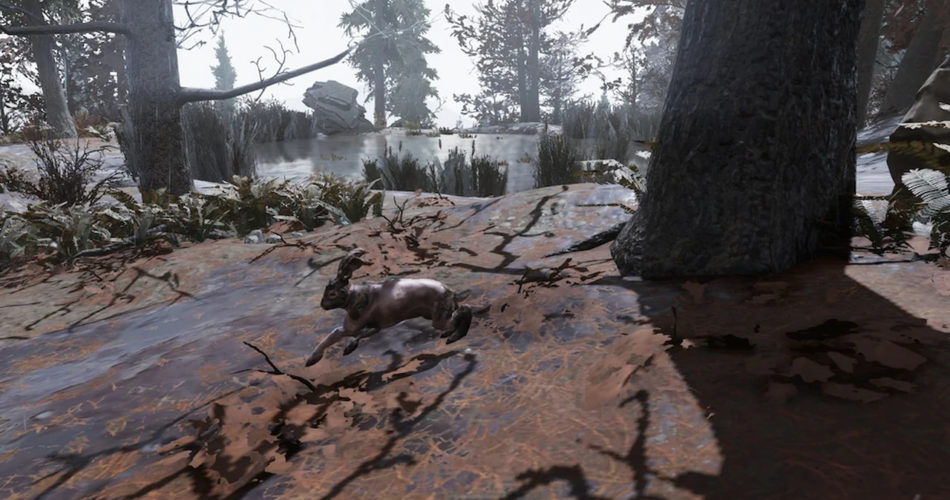 Fallout 76: локации, места появления и фарма кроликов