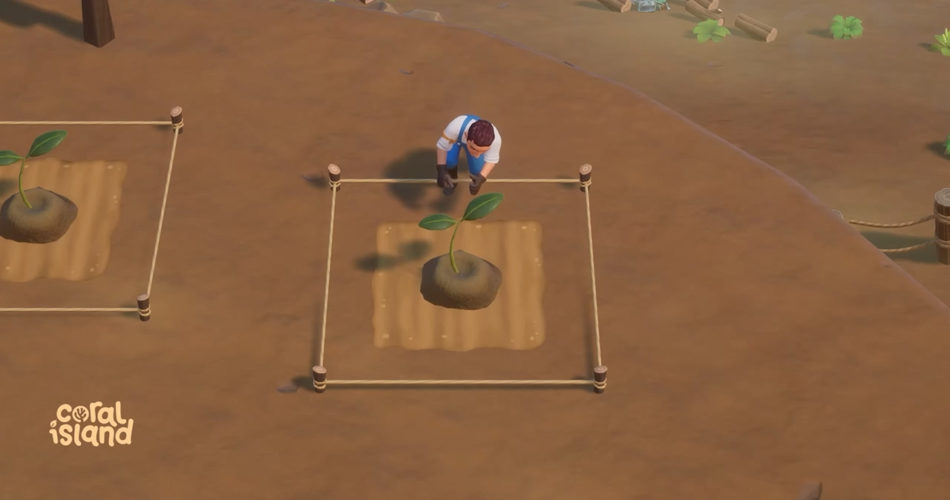 Путеводитель по фестивалю посадки деревьев на Коралловом острове