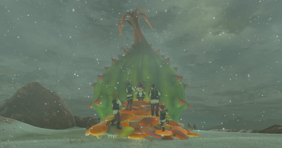 Как получить звук горна для Великой Феи в Zelda TOTK