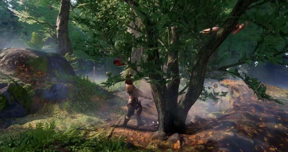 Как получить растительное волокно в Enshrouded