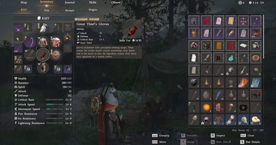 Как украсть ЛЮБОЙ предмет незамеченным в Багровой пустыне